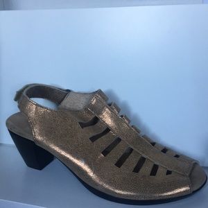 Shoes: Golden Munro Abby